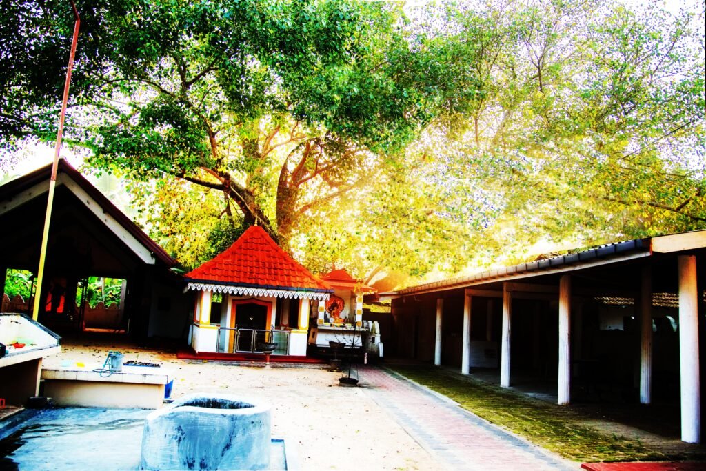 Old-well-Akurala-Ancient-Paththini-Temple
