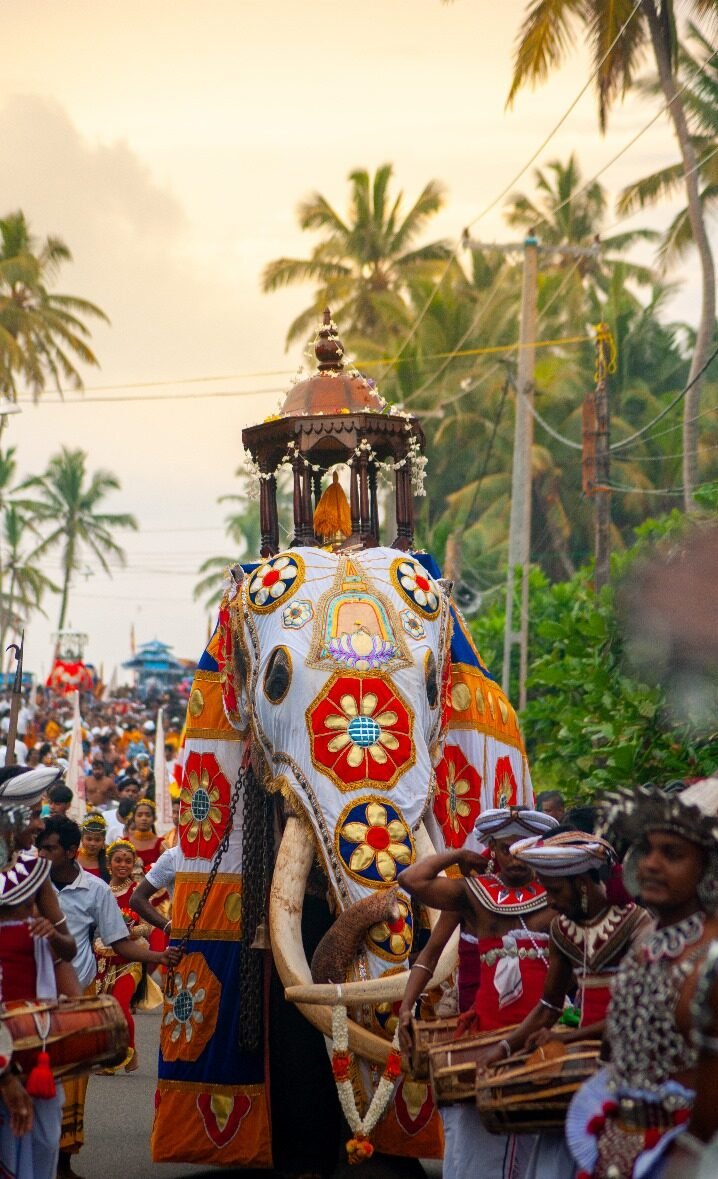 Perahara Elephant - Income States - 2016